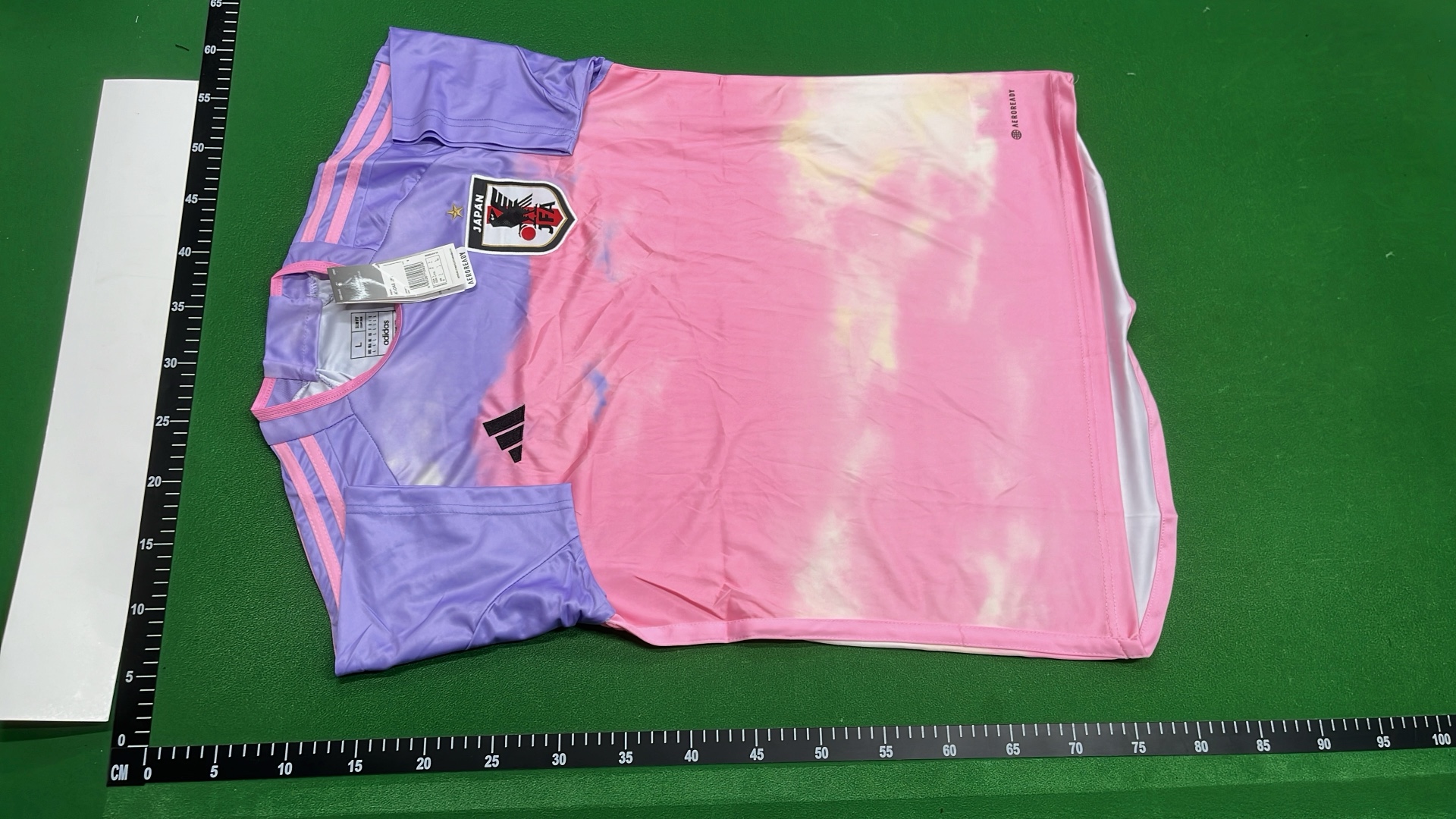 Japan Dragon Sakura T-Shirt