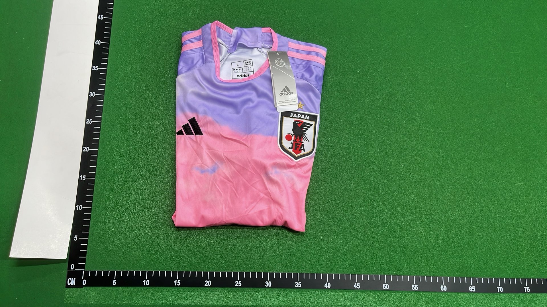 Japan Dragon Sakura T-Shirt