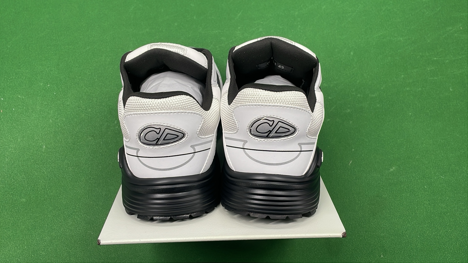 Dior White and Black Sneakers with CD Logo Design