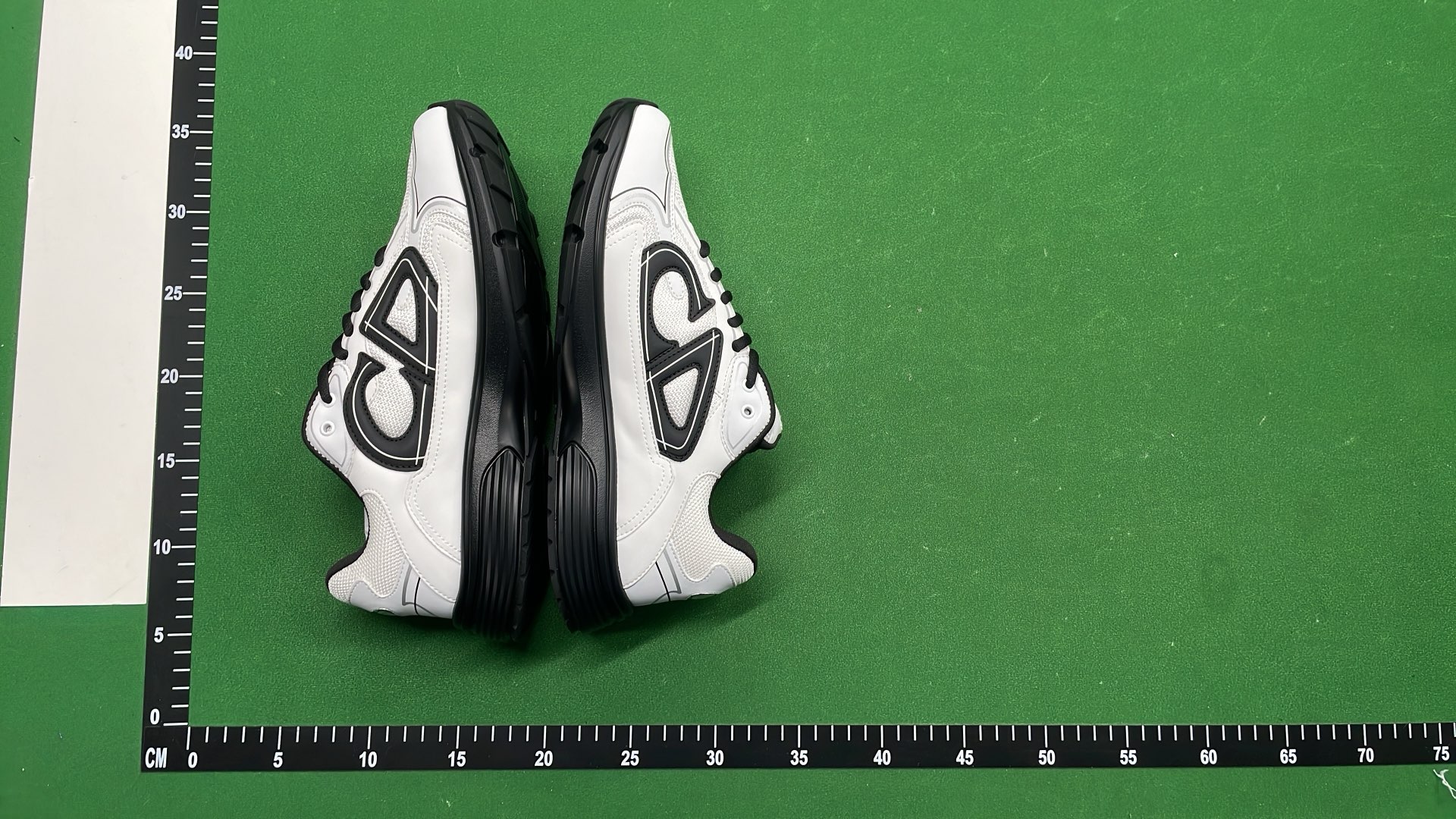 Dior White and Black Sneakers with CD Logo Design