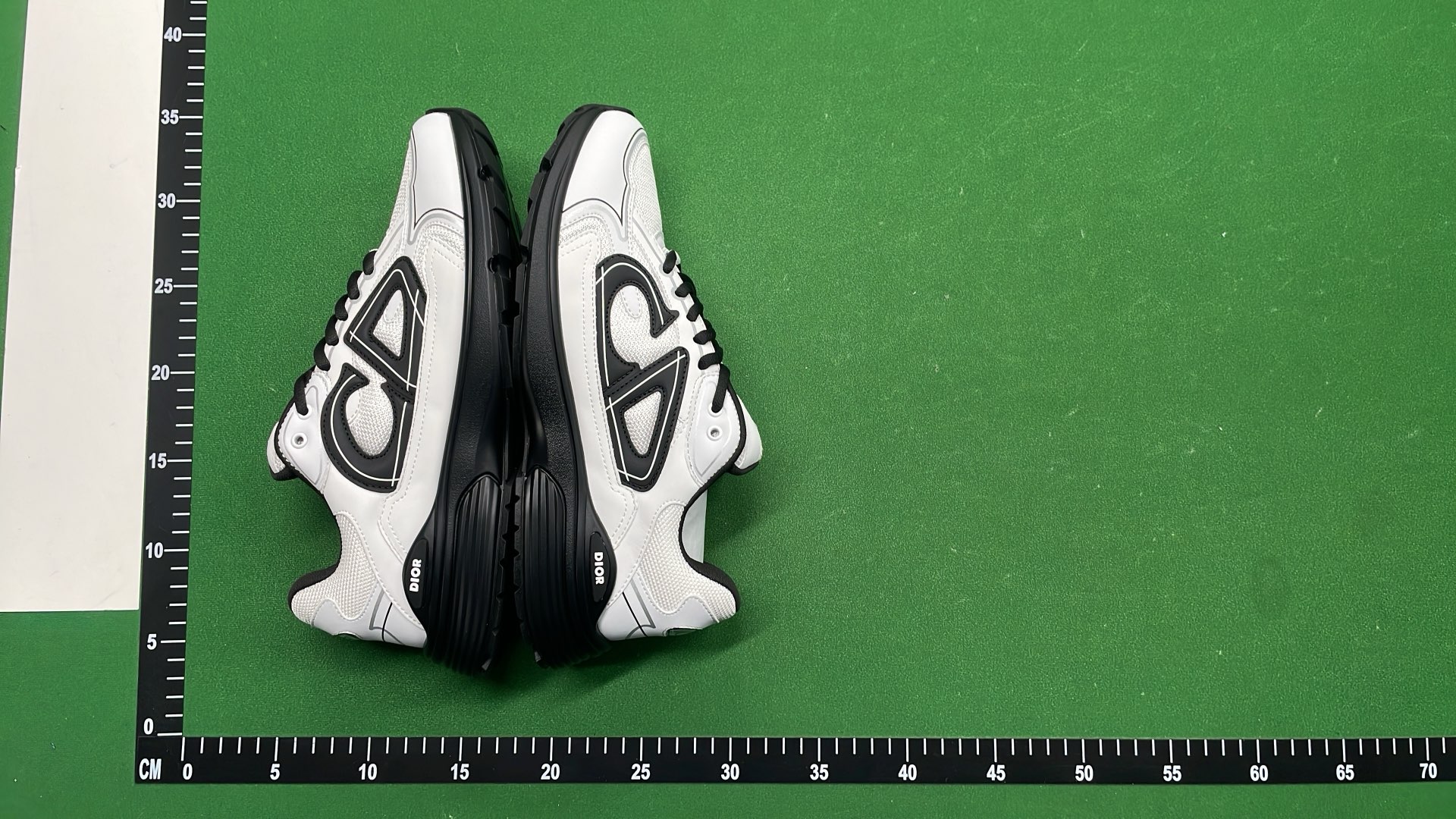Dior White and Black Sneakers with CD Logo Design
