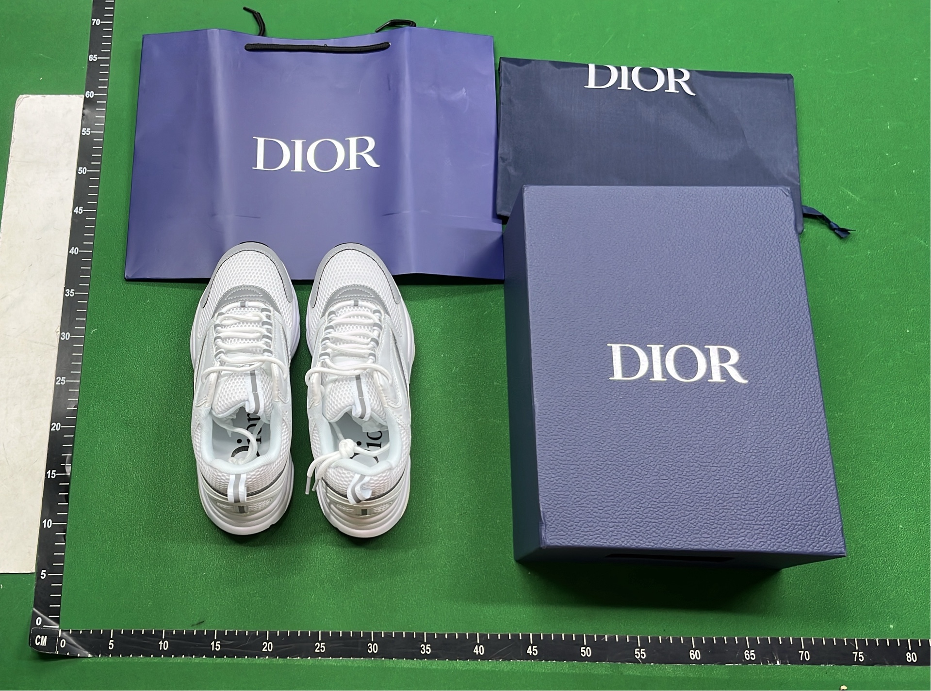 Dior B23 High-Top Sneakers