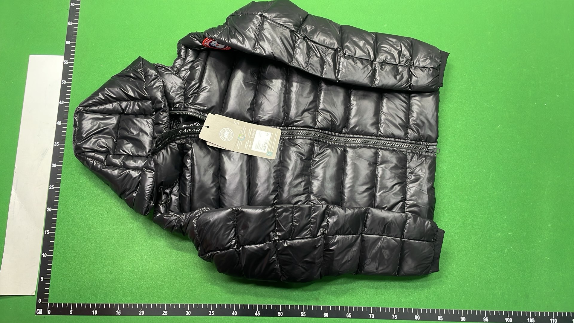 Canada Goose Black Down Jacket with Hood and Logo Patch