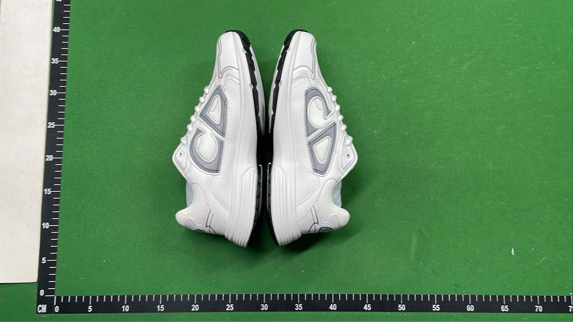 1:1 Batch DIOR B30 Shoes  in the Best OopBuy Spreadsheet QC photos