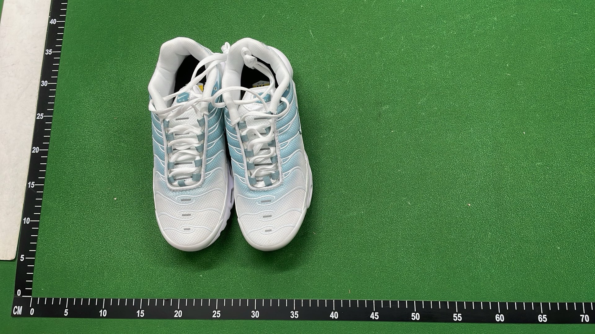 Nike Air Max Plus TN Sneakers for Men and Women