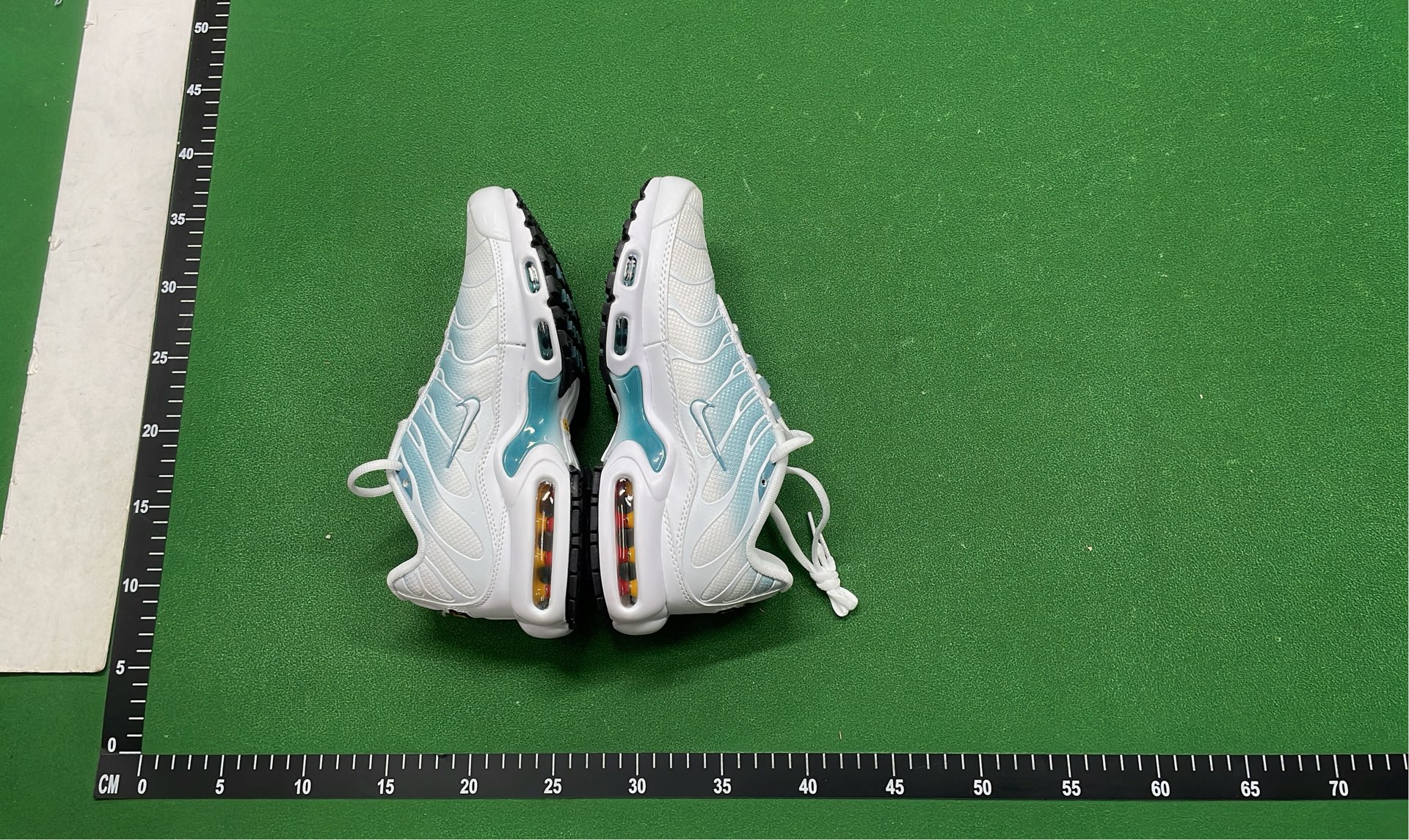 Nike Air Max Plus TN Sneakers for Men and Women