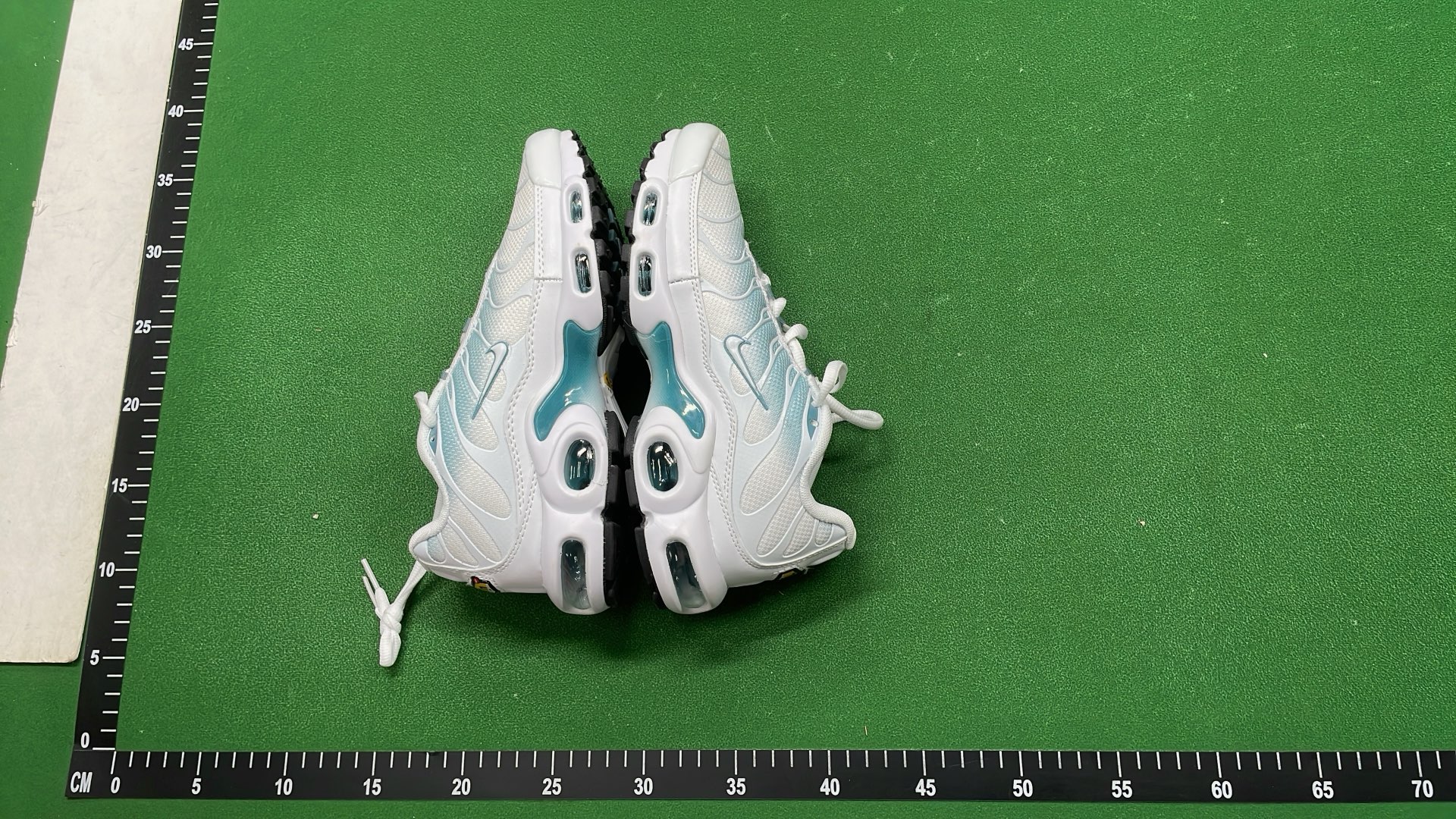 Nike Air Max Plus TN Sneakers for Men and Women
