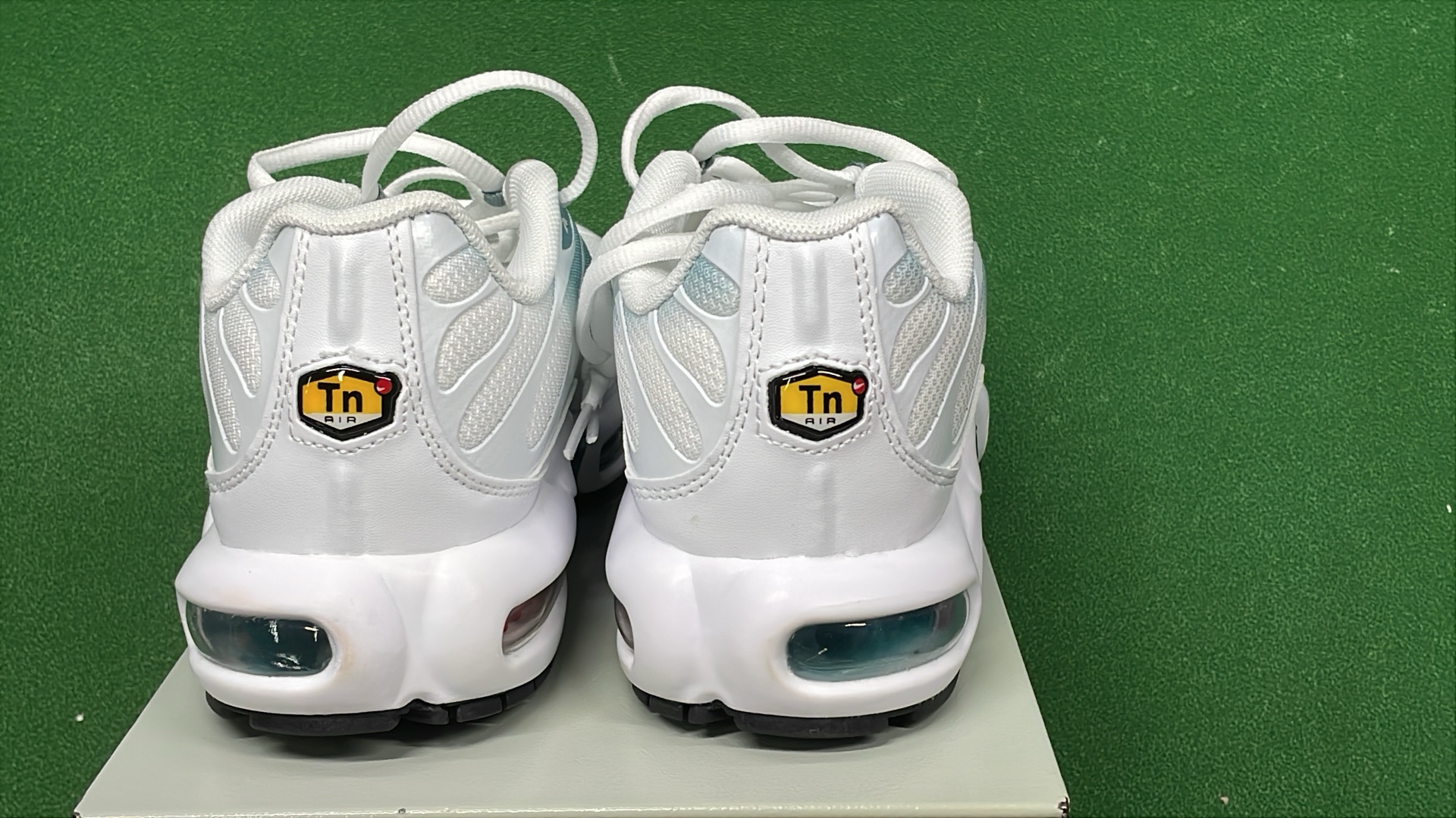 Nike Air Max Plus TN Sneakers for Men and Women