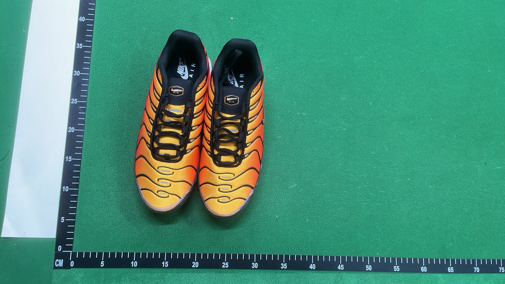 Nike Air Max Plus TN Sneakers for Men and Women
