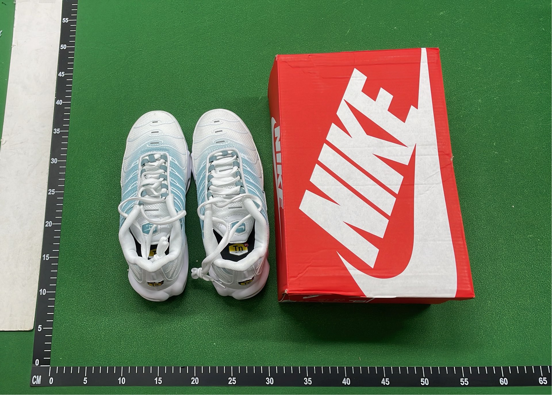 Nike Air Max Plus TN Sneakers for Men and Women
