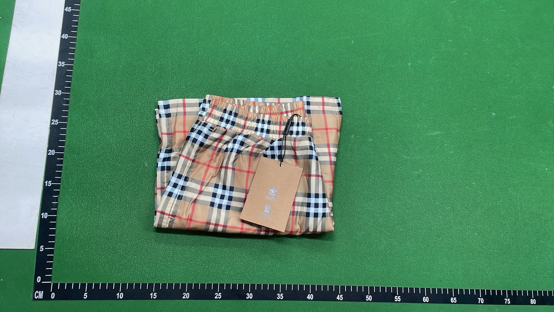 Classic Check Print Shorts for Men
