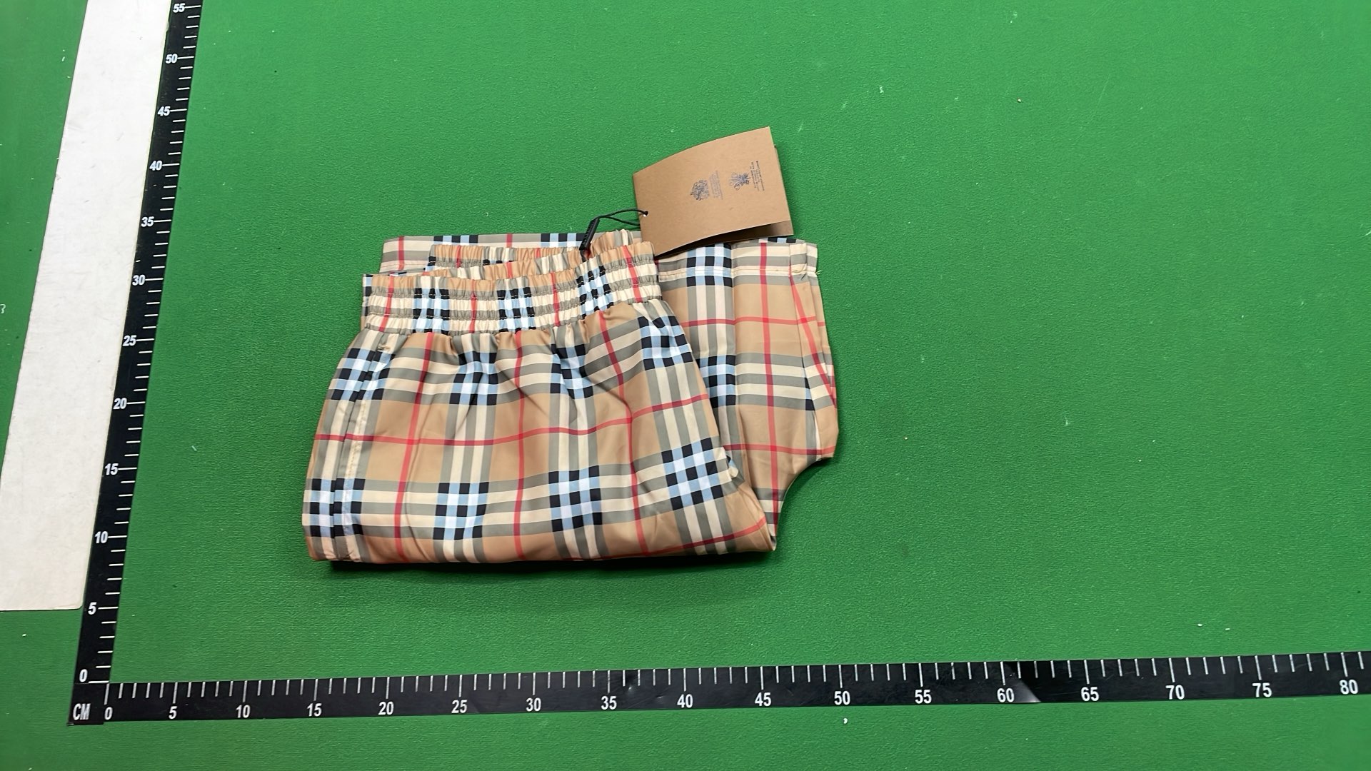 Classic Check Print Shorts for Men