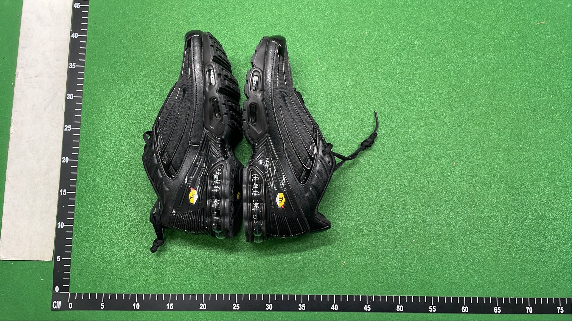 Nike Air Max Plus TN Sneakers for Men and Women