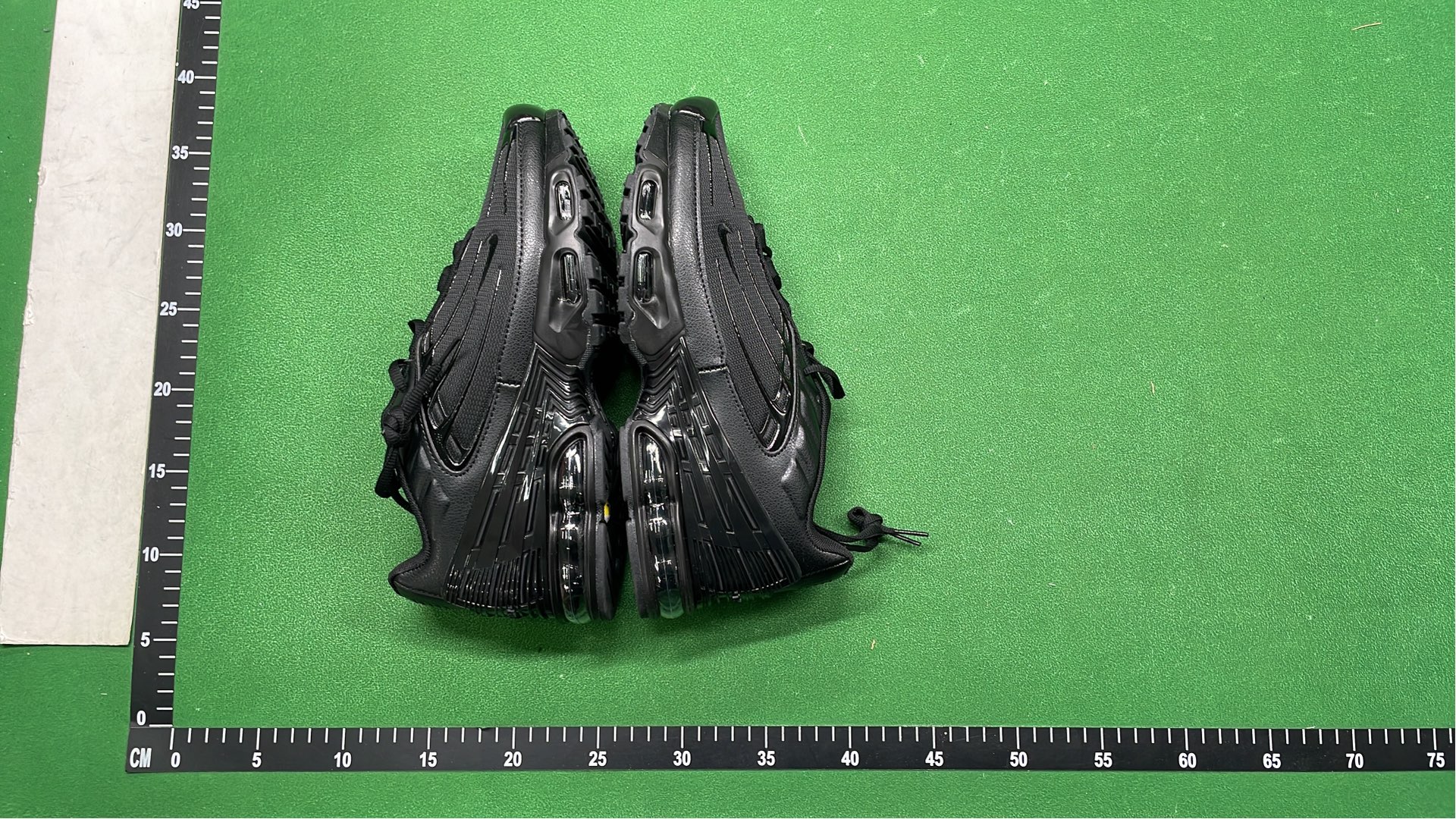 Nike Air Max Plus TN Sneakers for Men and Women
