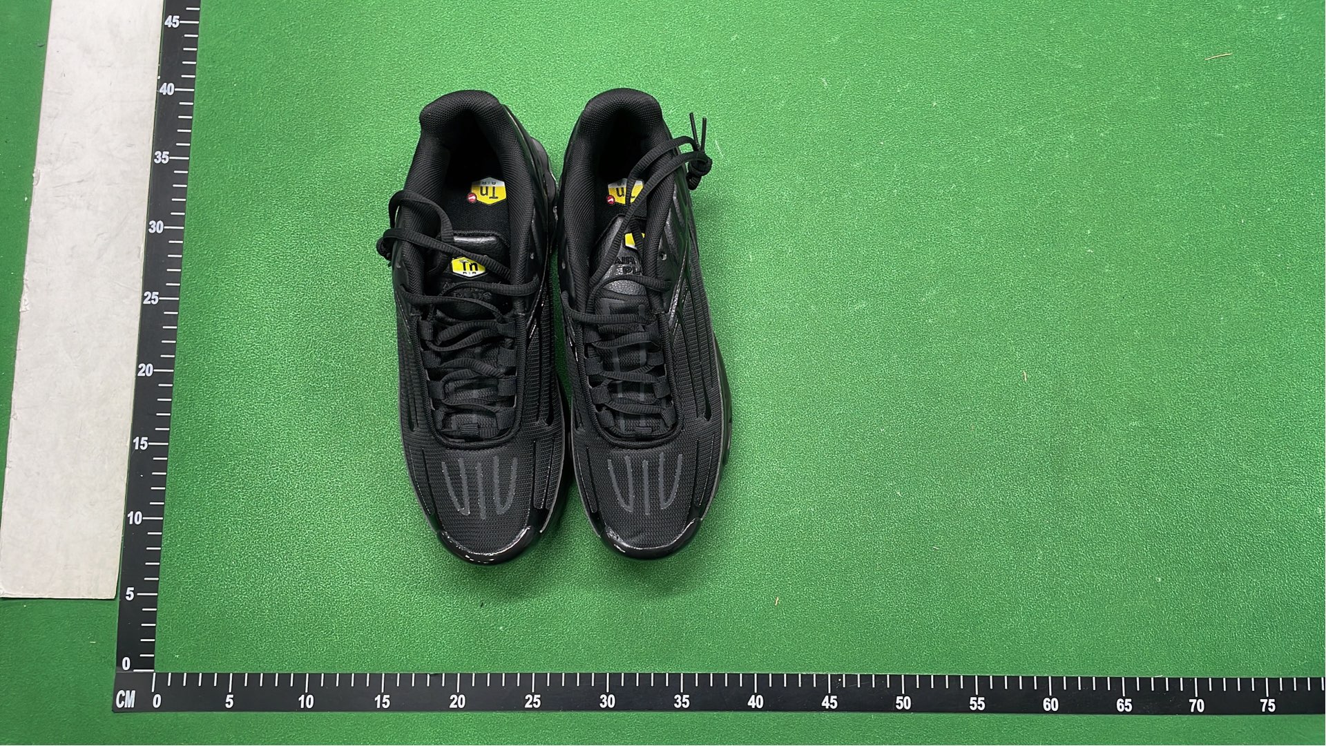 Nike Air Max Plus TN Sneakers for Men and Women