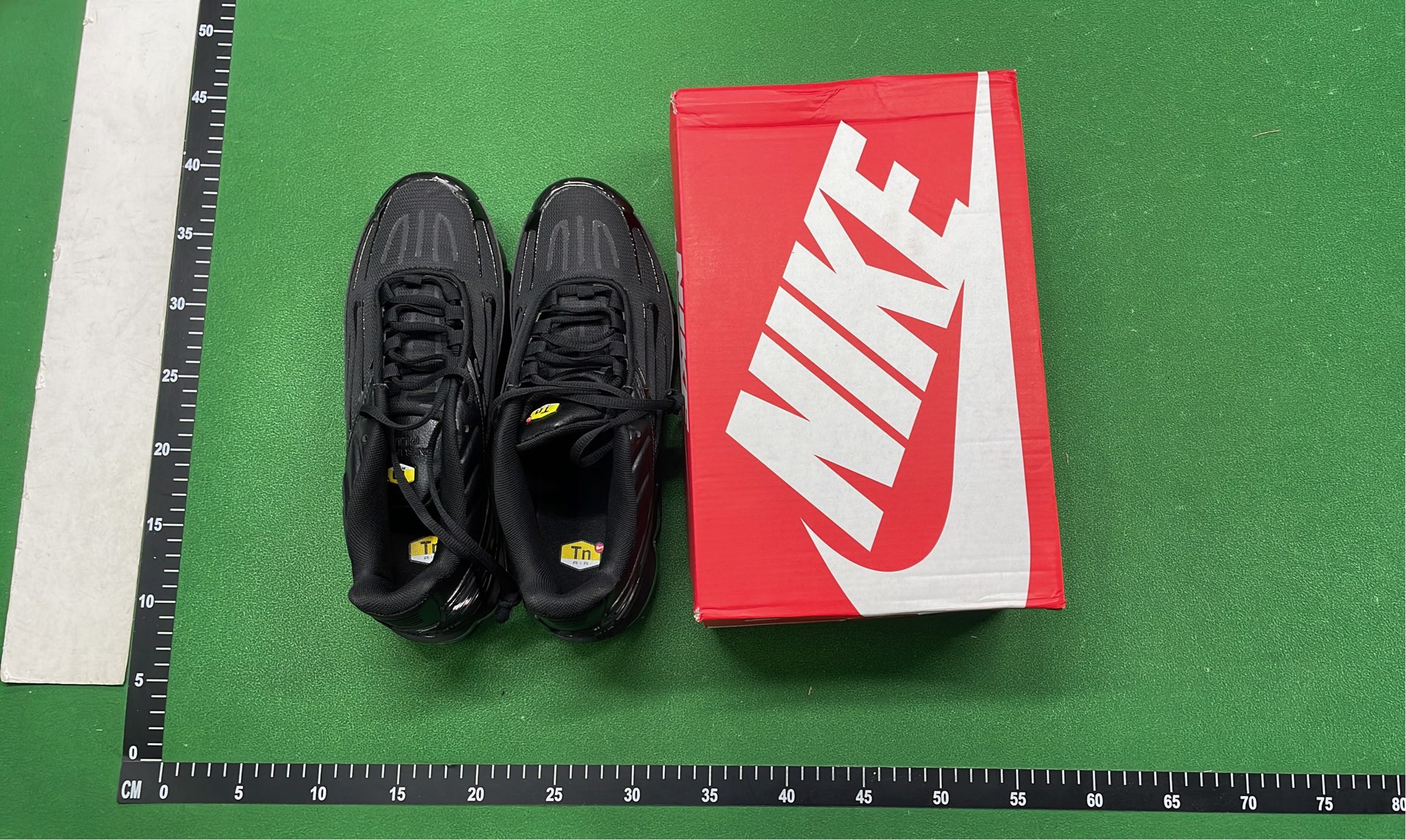 Nike Air Max Plus TN Sneakers for Men and Women