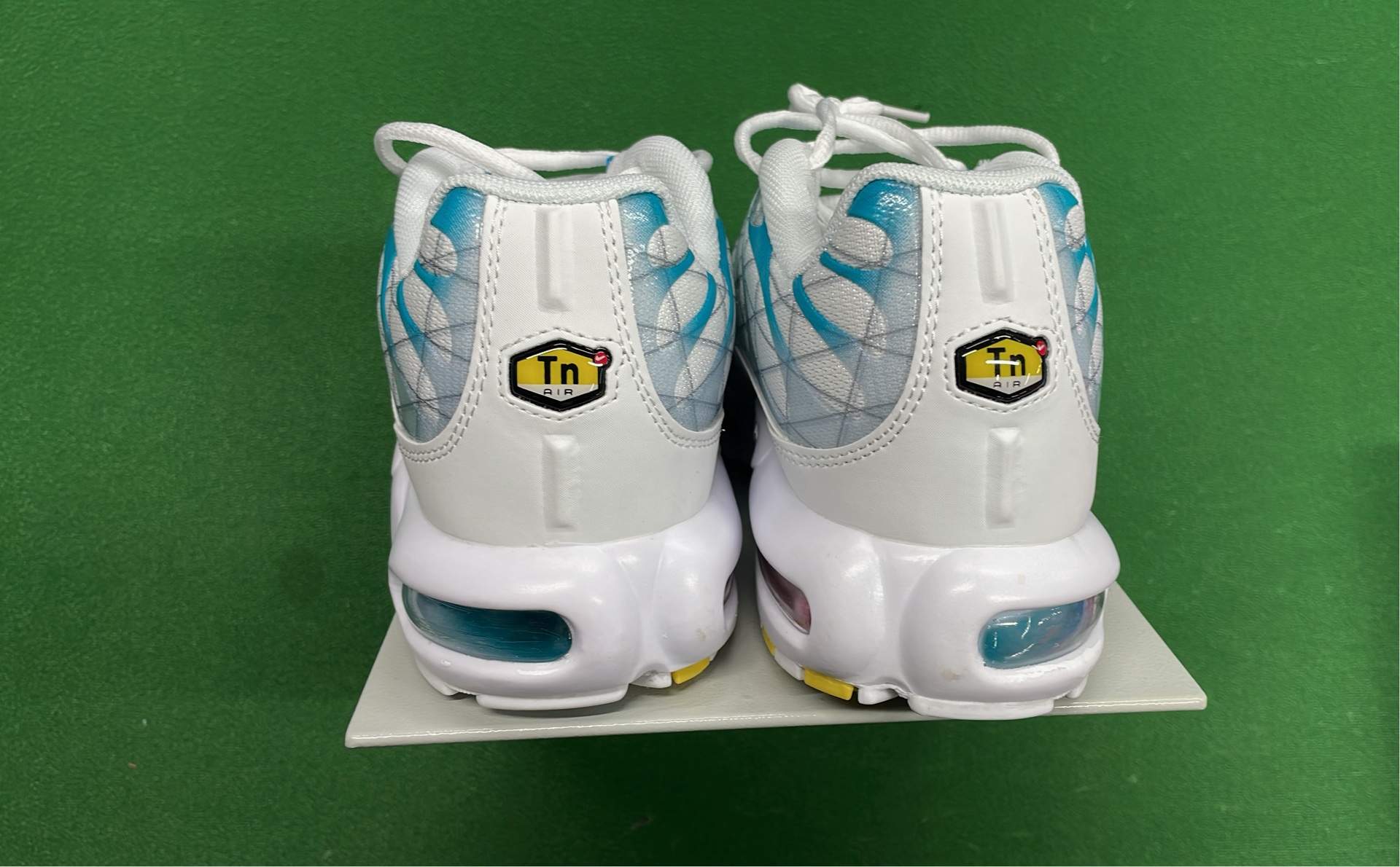 Nike Air Max Plus TN 95 Sneakers - Gradient Color Design