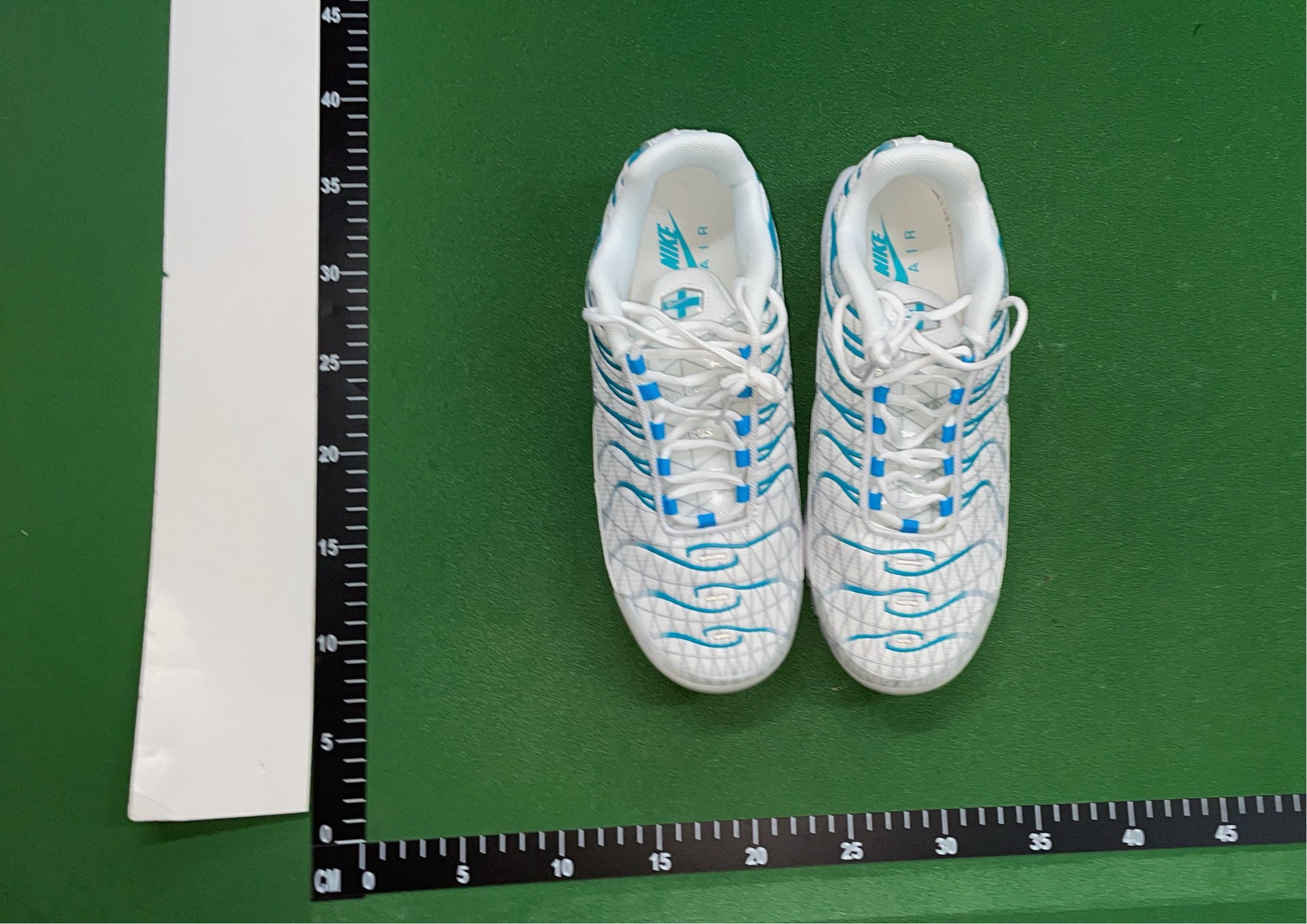 Nike Air Max Plus TN 95 Sneakers - Gradient Color Design