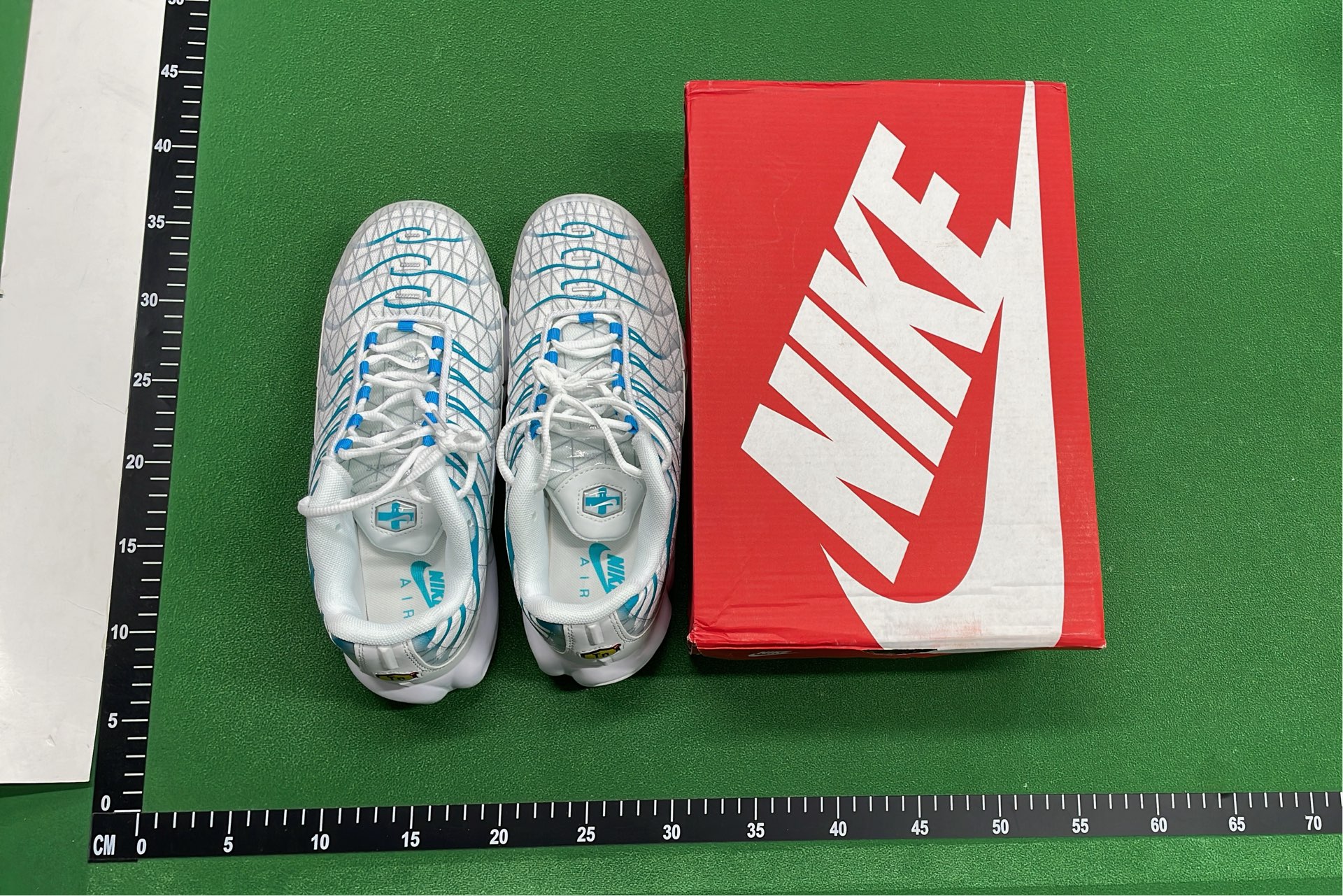 Nike Air Max Plus TN 95 Sneakers - Gradient Color Design