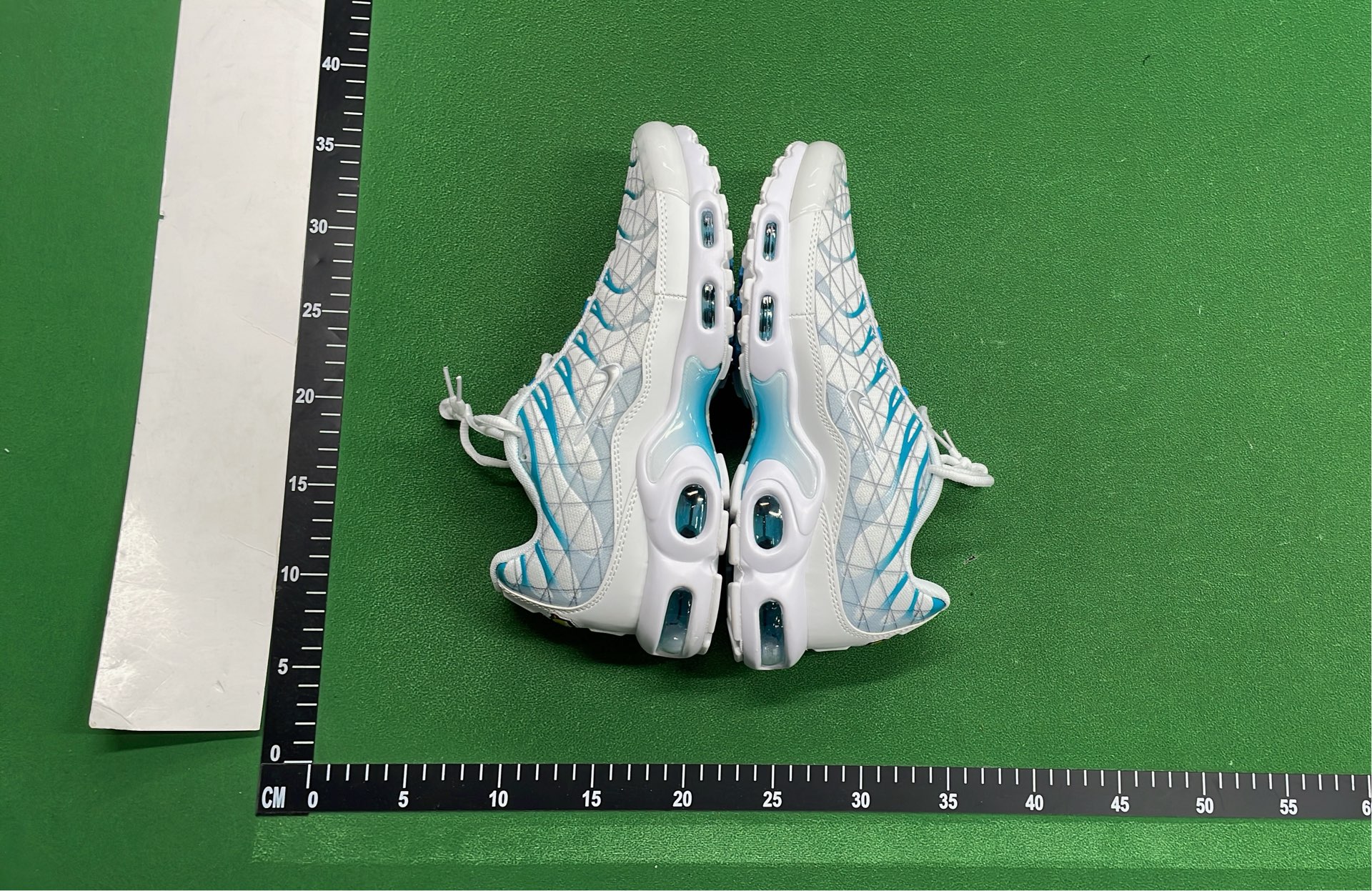 Nike Air Max Plus TN 95 Sneakers - Gradient Color Design