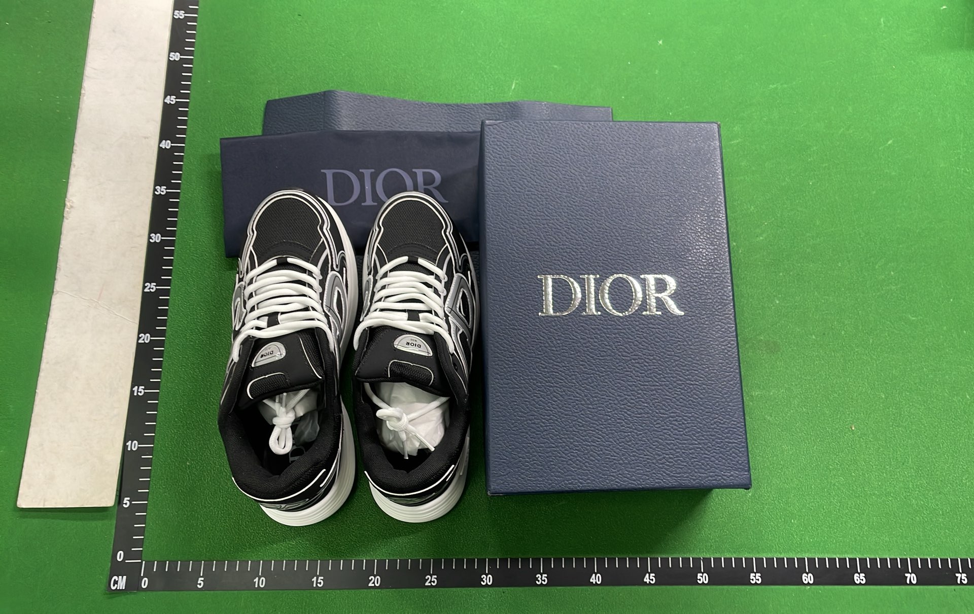 Dior B23 High-Top Sneakers for Men and Women