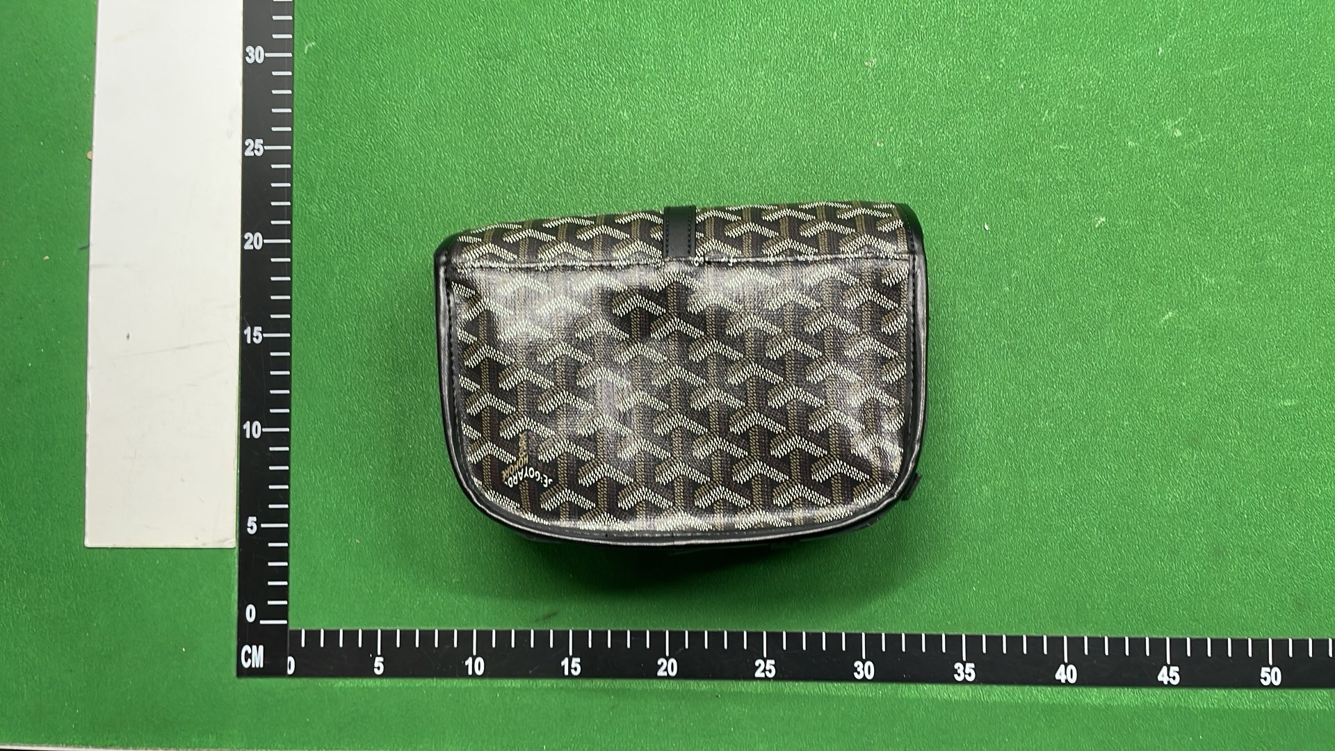 Goyard Saint Louis PM Bag in Multiple Colors