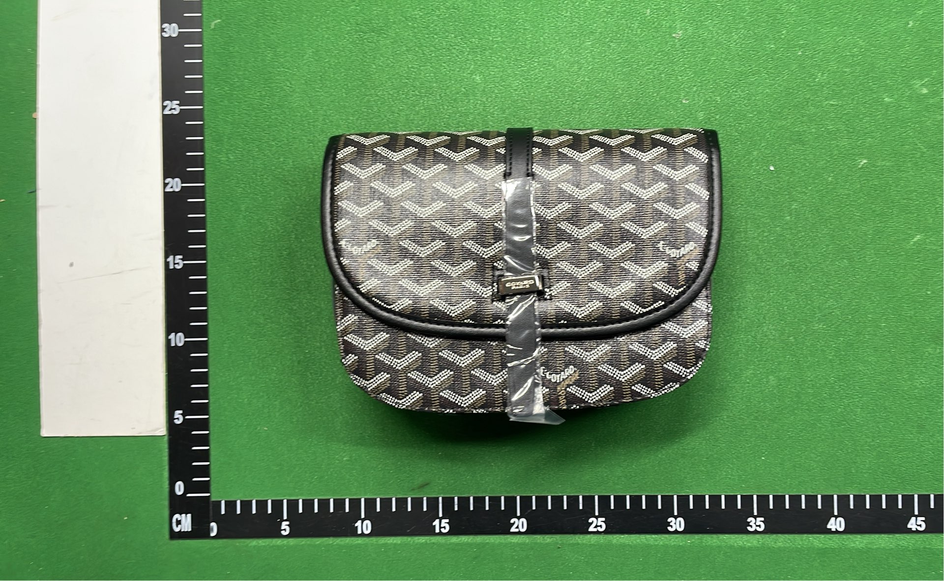 Goyard Saint Louis PM Bag in Multiple Colors