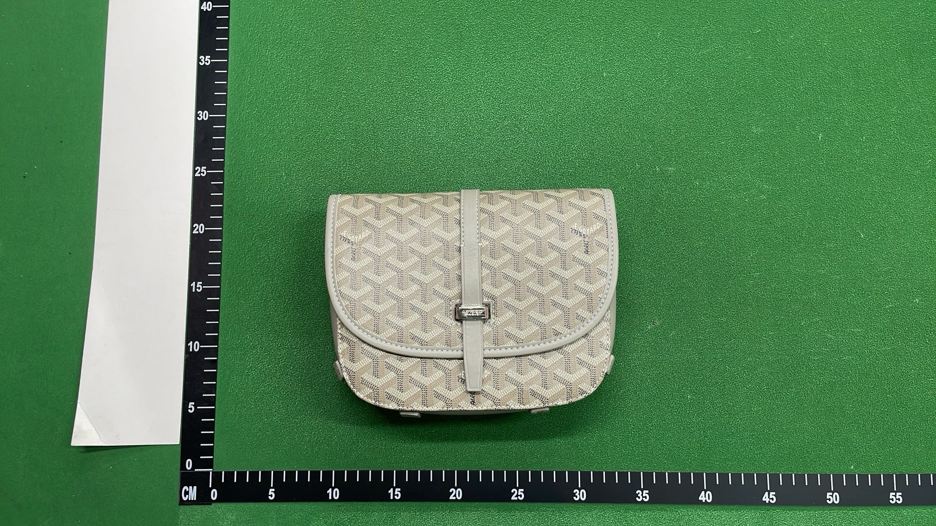 Goyard Saint Louis PM Bag in Multiple Colors