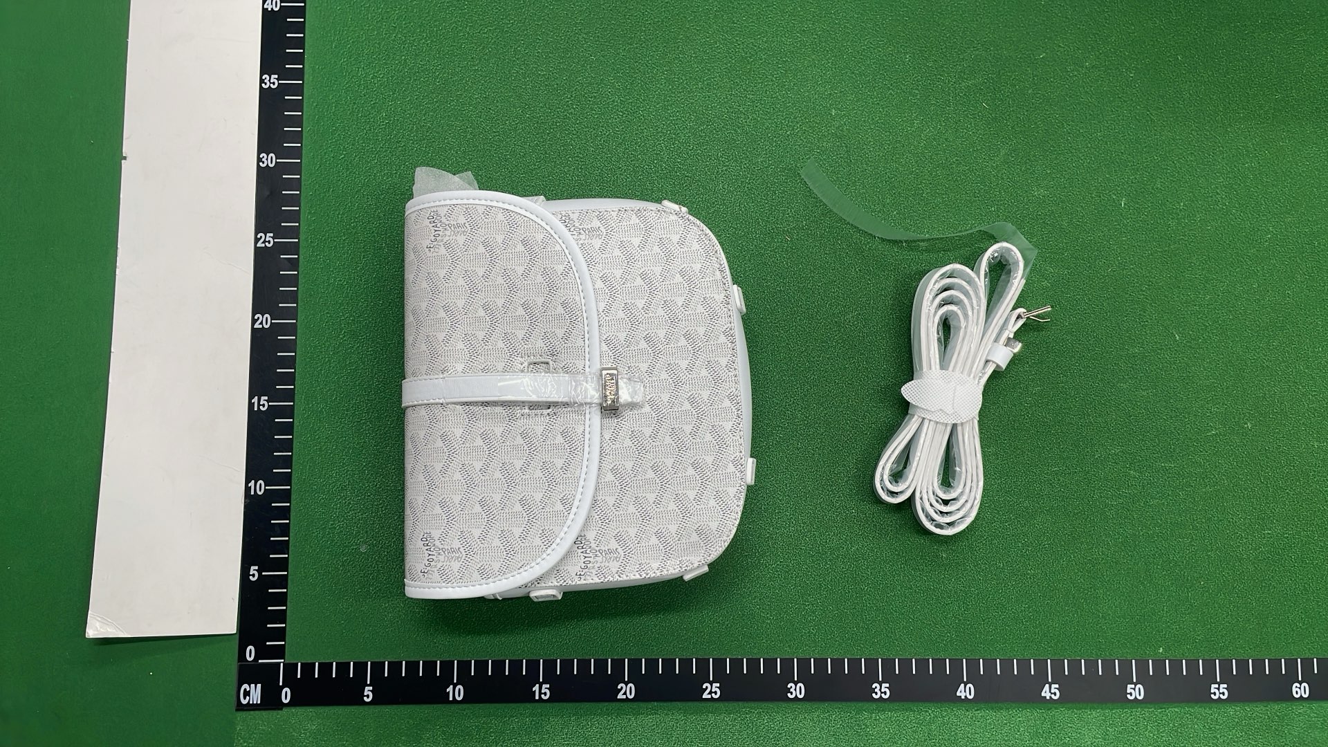 Goyard Saint Louis PM Bag in Multiple Colors