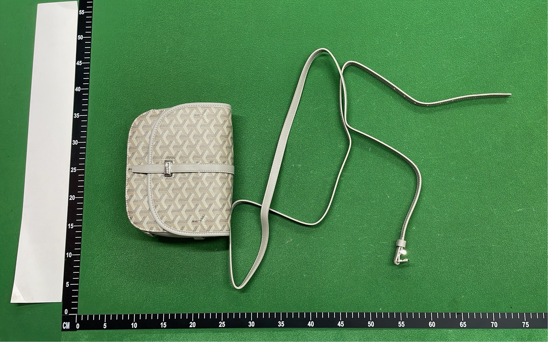 Goyard Saint Louis PM Bag in Multiple Colors