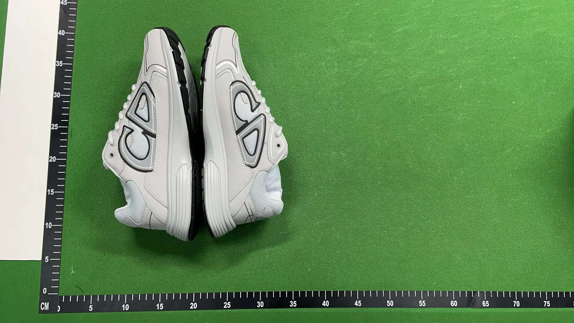 1:1 Batch DIOR B30 Shoes  in the Best OopBuy Spreadsheet QC photos