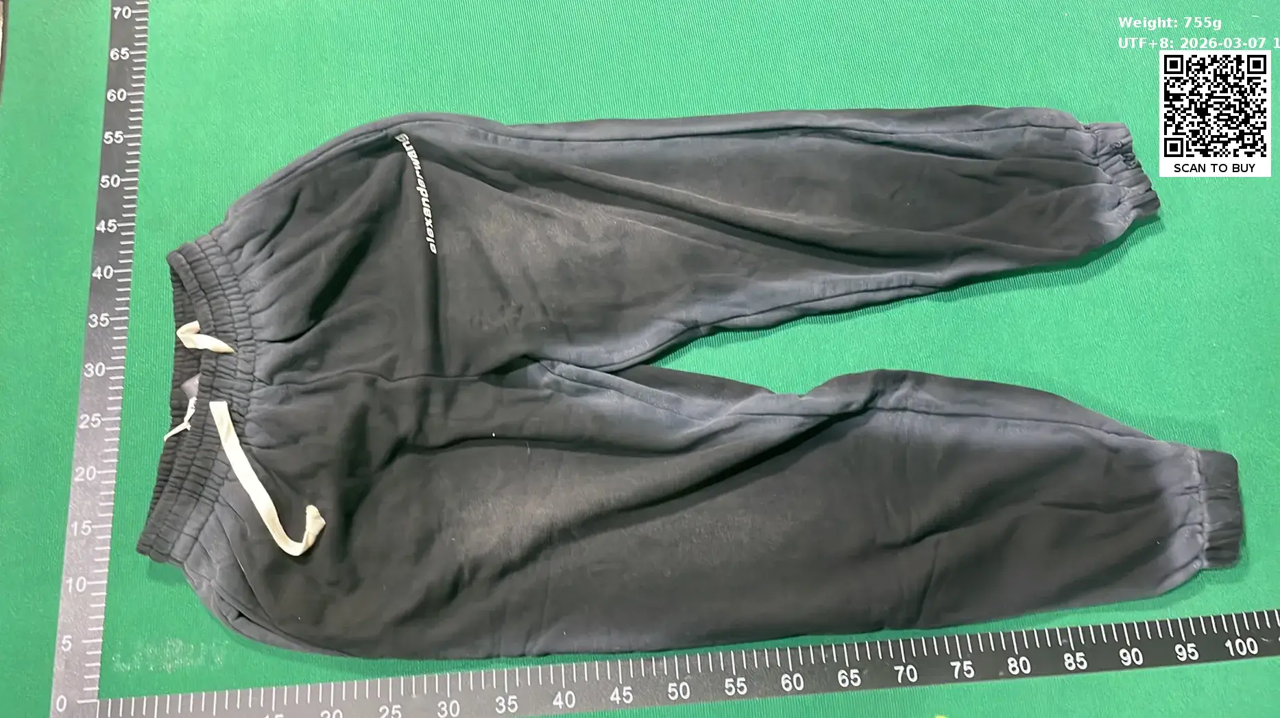 Alexander Wang/King Wash Letter Printed Ribbon Pants  in the Best OopBuy Spreadsheet QC photos