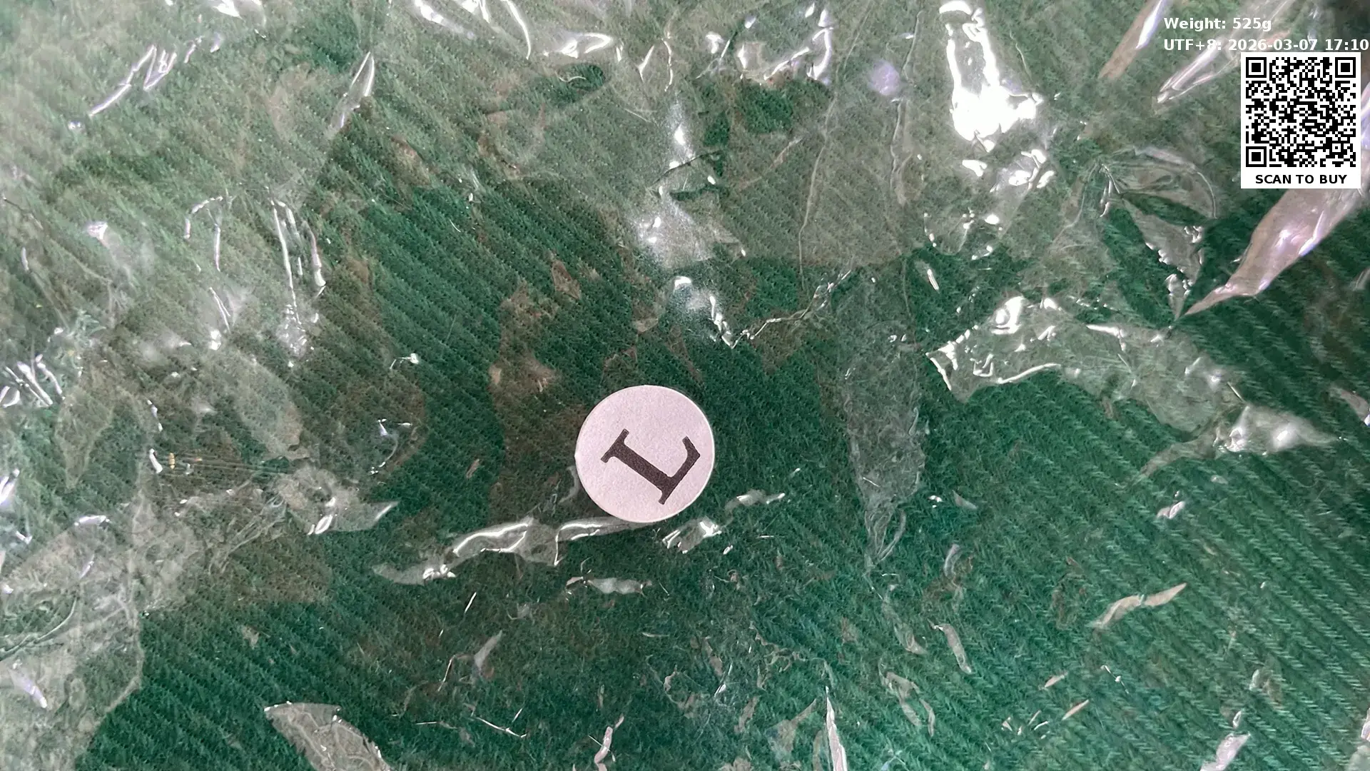 Amini Sweater  in the Best OopBuy Spreadsheet QC photos