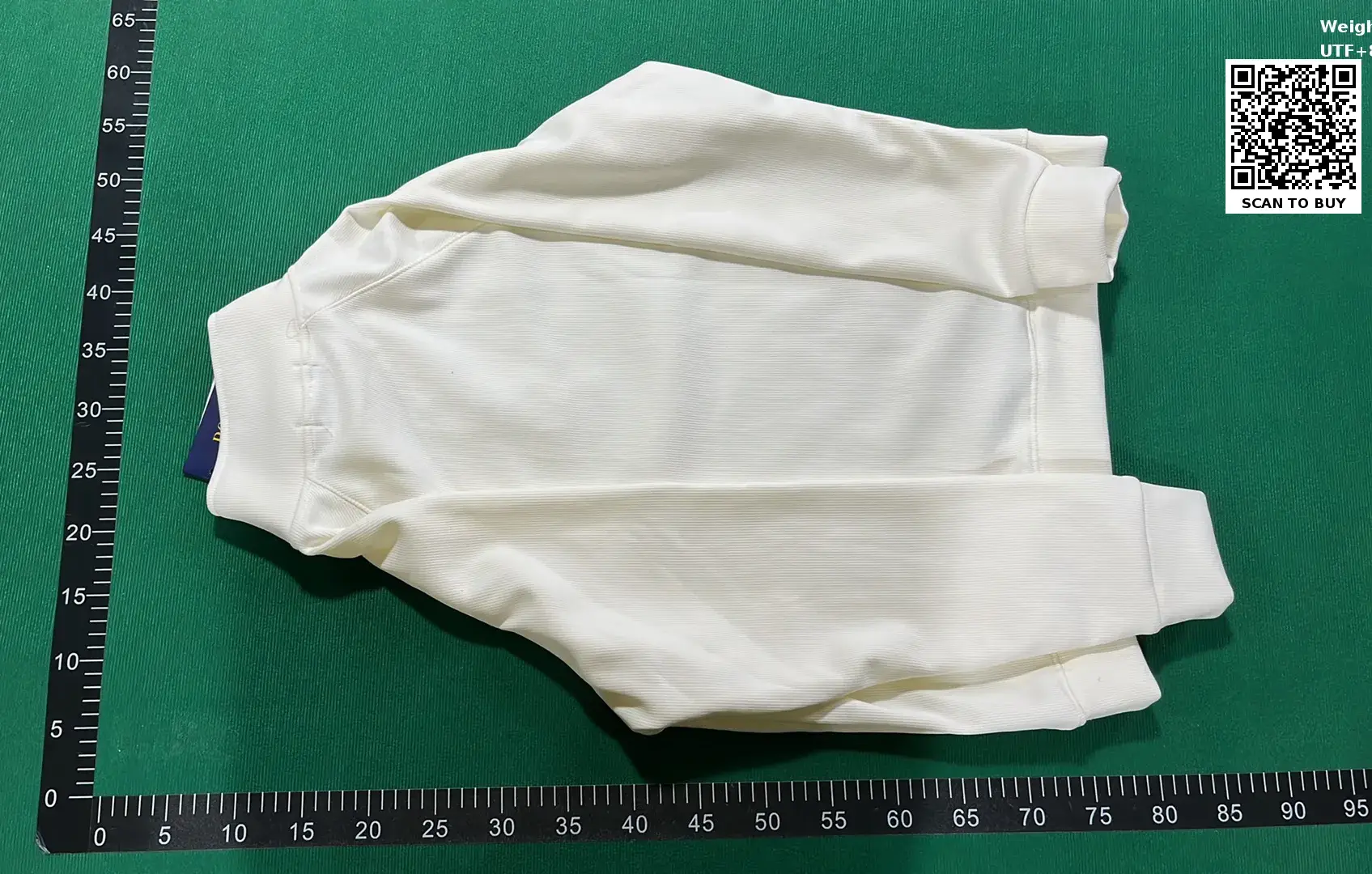 Ralph Lauren POLO hoodie 2  in the Best OopBuy Spreadsheet QC photos
