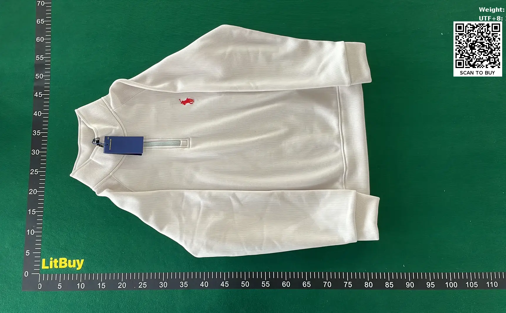 Ralph Lauren POLO hoodie 2  in the Best OopBuy Spreadsheet QC photos