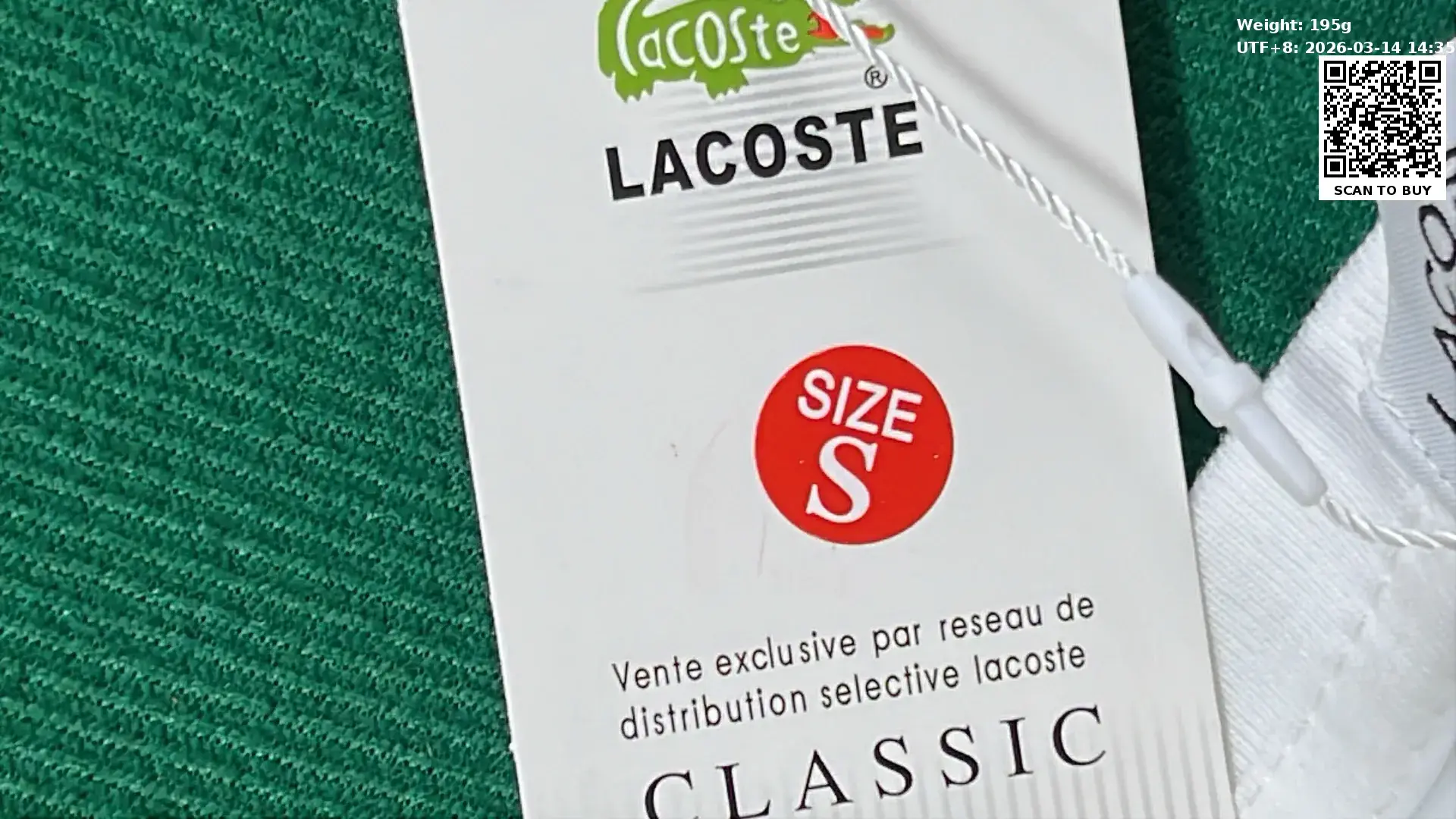 Lacoste Polo T-shirt tee （25+）  in the Best OopBuy Spreadsheet QC photos