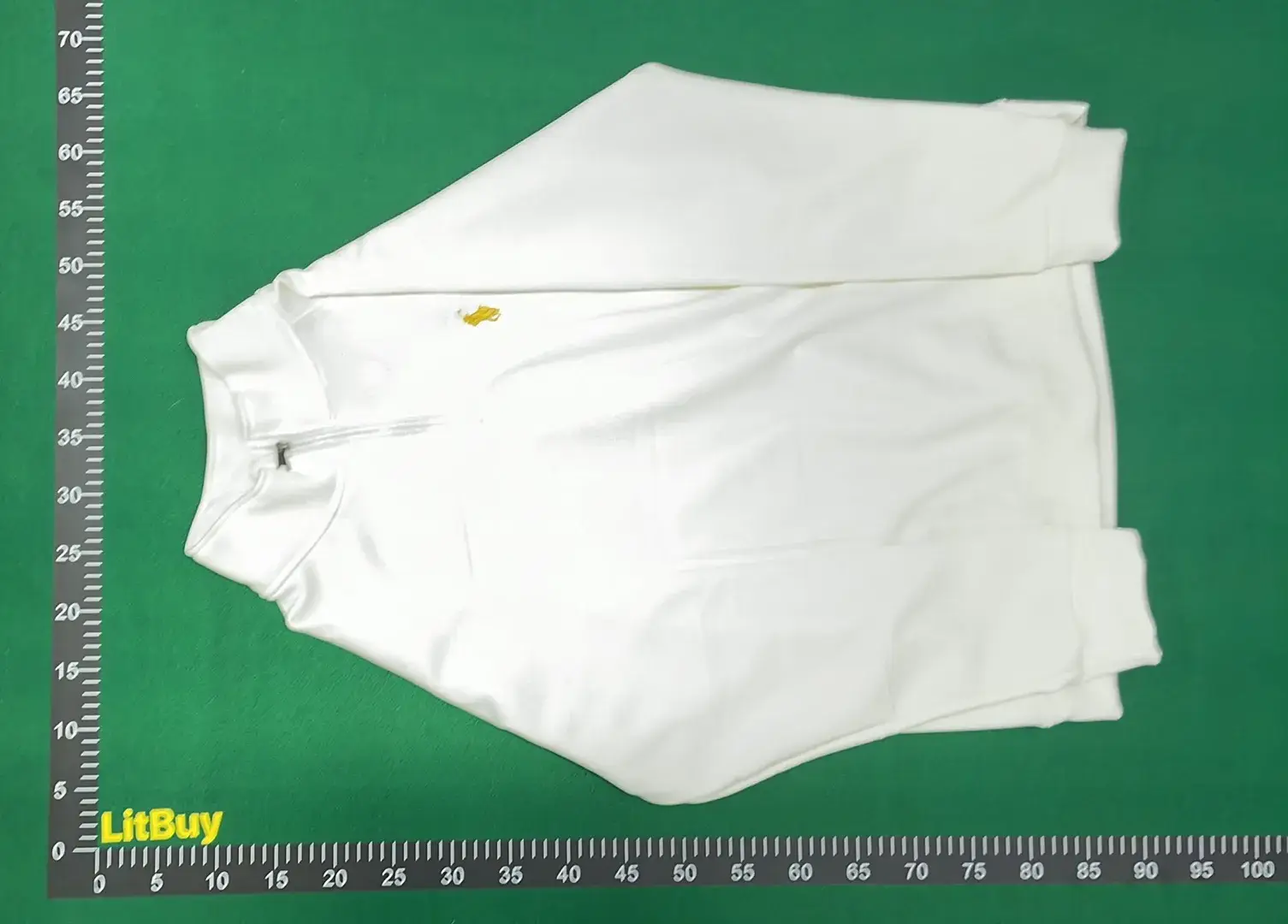 Ralph Lauren POLO hoodie 2  in the Best OopBuy Spreadsheet QC photos
