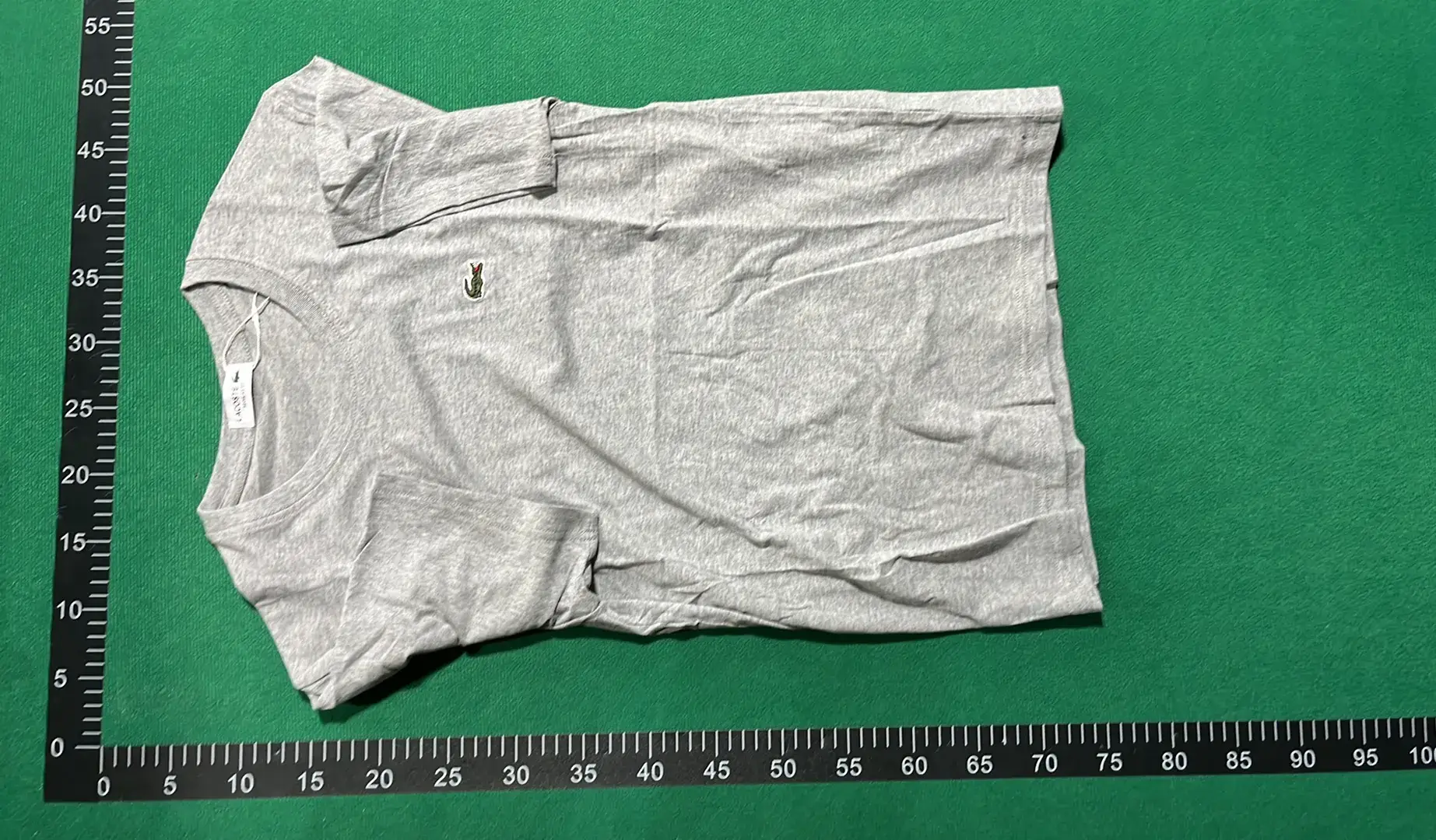 Lacoste Polo T-shirt tee （25+）  in the Best OopBuy Spreadsheet QC photos