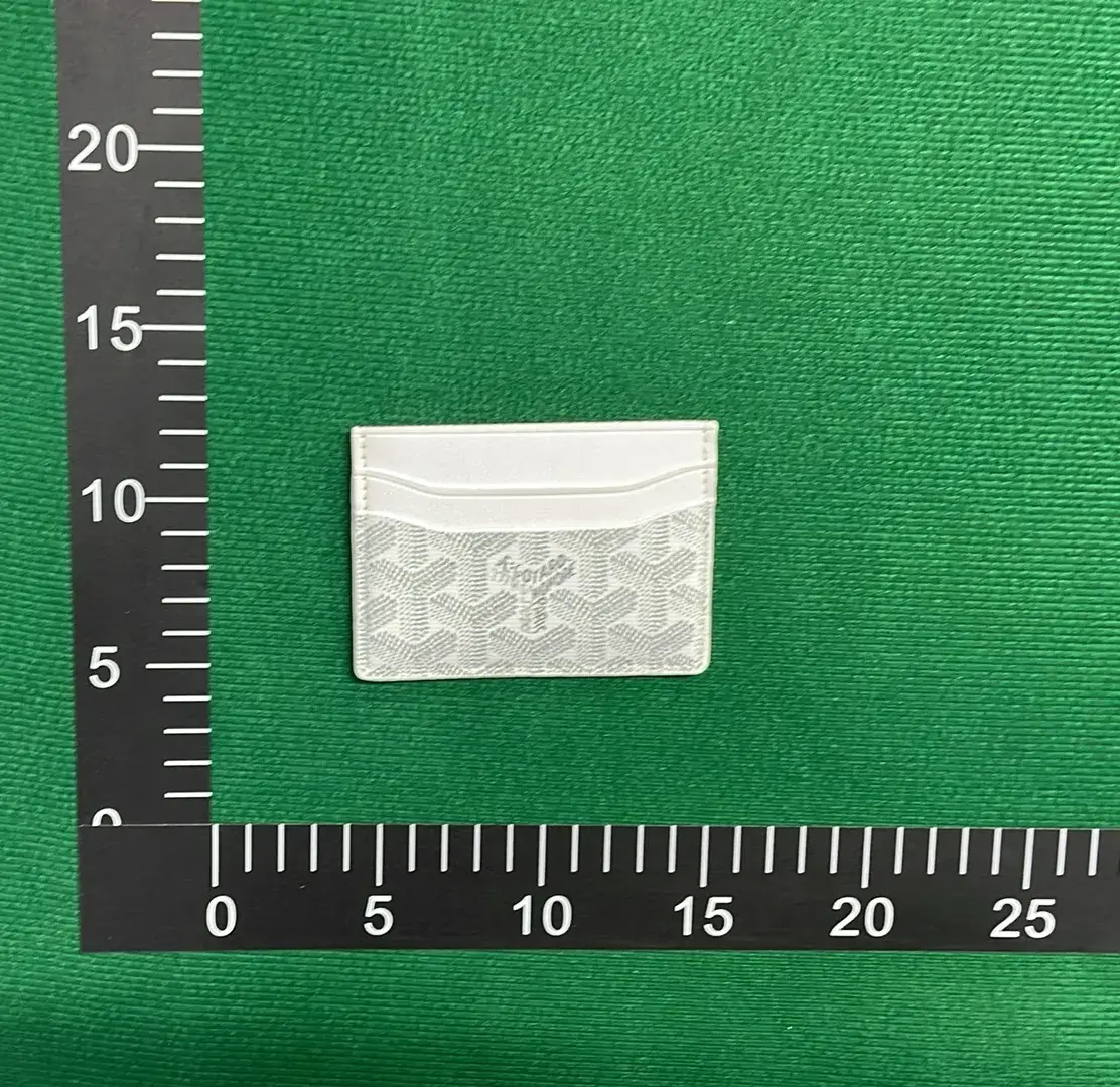 GOY saint-sulpice bag--L  in the Best OopBuy Spreadsheet QC photos