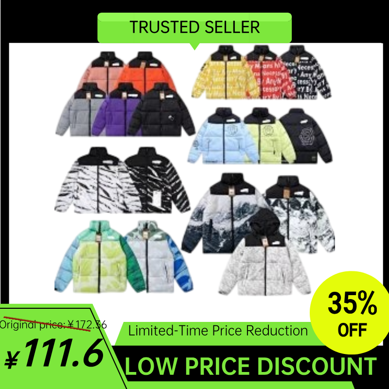 The North Face Winter Jacket-2