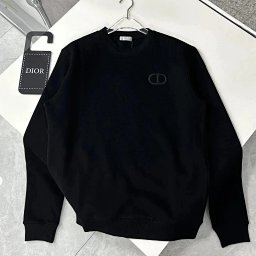 1:1 Batch DIOR hoodie