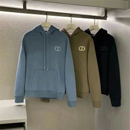 1:1 Batch DIOR hoodie-2