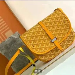 1:1 Batch Go GOYARD bag