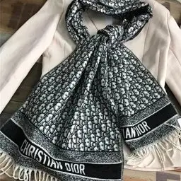 1:1 Batch DIOR neckerchief